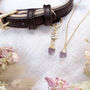 Amethyst Owner Necklace And Pet Collar Charm Set, thumbnail 1 of 7