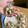 Handmade Miniature Nests With Real Blown Quail Eggs, thumbnail 2 of 9