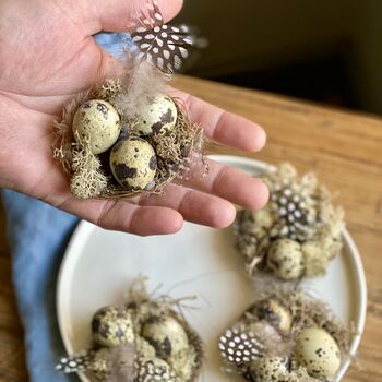 Handmade Miniature Nests With Real Blown Quail Eggs, 2 of 9