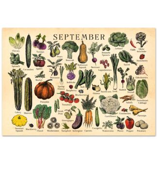 Personalised UK Seasonal Fruit And Vegetable Dateless Wall Calendar, 7 of 8
