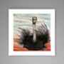 'Ostrich' Print, thumbnail 1 of 3