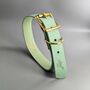 Personalised Turquoise Leather Dog Collar, thumbnail 1 of 5