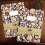 Mollusca Sea Shell A5 Lined And Plain Notebook Set, thumbnail 1 of 8