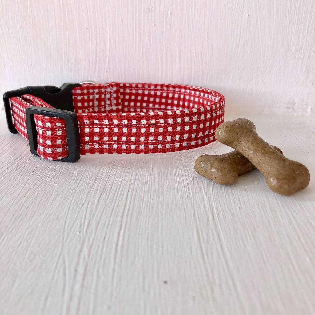 red dog collar and lead/leash set for girl and boy dogs by charlie and