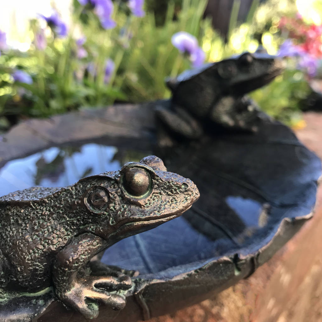 Frogs Bird Bath By Blackdown Lifestyle | notonthehighstreet.com