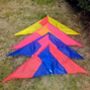 Giant Delta Kite, thumbnail 10 of 11