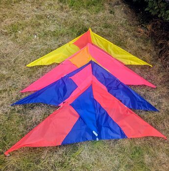 Giant Delta Kite, 10 of 11