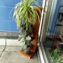 Vertical Plant Pot Stand, thumbnail 1 of 7