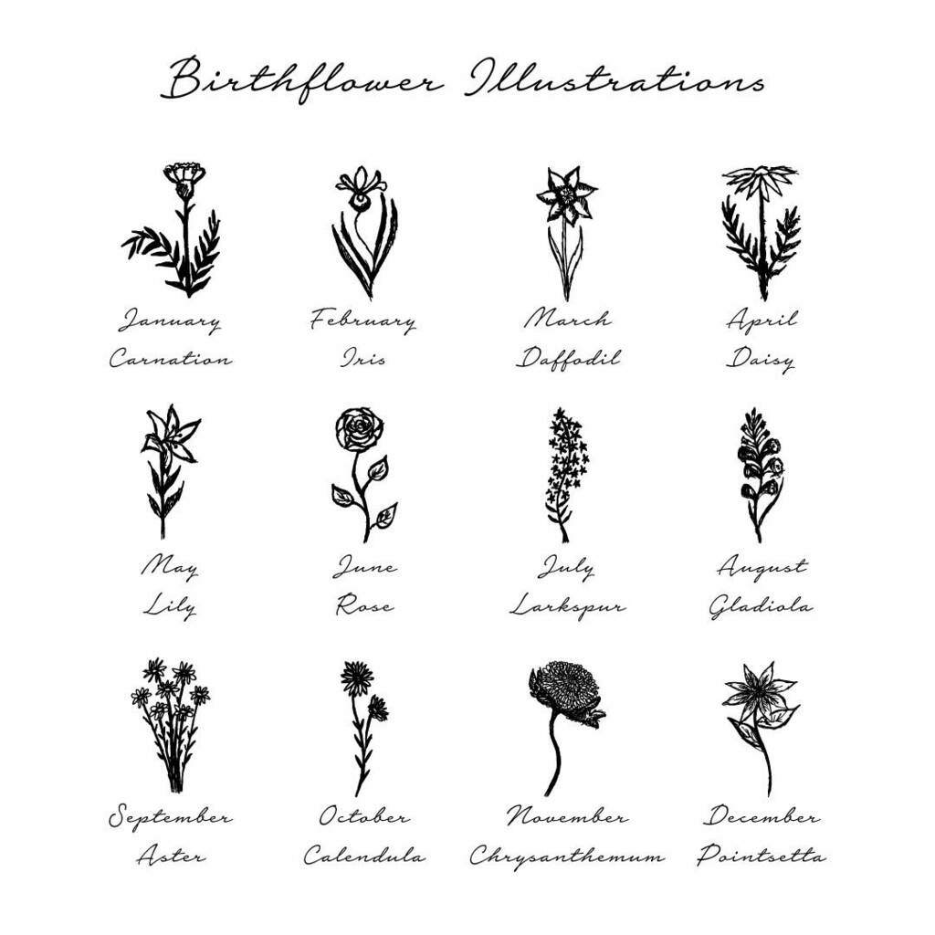 Названия растений на латыни красивым шрифтом