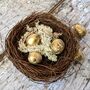 Decorative Natural Quails Eggs, Box Of 12, thumbnail 7 of 12