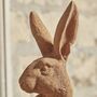 Rusty Hare, thumbnail 2 of 5