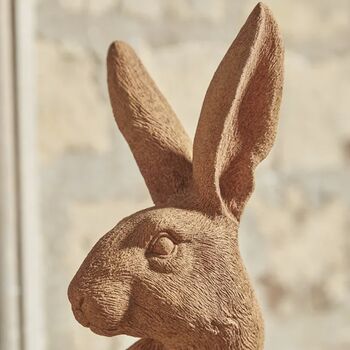 Rusty Hare, 2 of 5