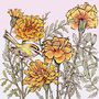 'Firecrest And Marigolds' Print, thumbnail 3 of 3