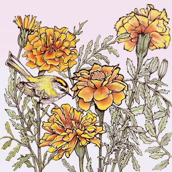 'Firecrest And Marigolds' Print, 3 of 3