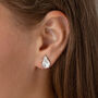 Small Swarovski Crystal Teardrop Stud Earrings, thumbnail 1 of 3