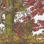 Heaton Park Autumn Mural, thumbnail 4 of 4