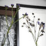 Wild Fade Original Pressed Flower Art In A3 Black Frame, thumbnail 7 of 8