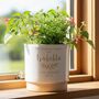Personalised Christening Indoor Plant Pot, thumbnail 1 of 7