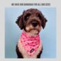 Pink Floral Dog Bandana, thumbnail 3 of 3