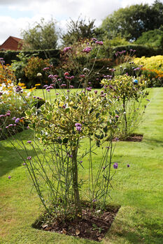 Marble Suncatcher Perfect For Adding Colour And Movement To Your Garden, 8 of 10