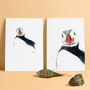 Inky Puffin Illustration Print, thumbnail 4 of 12