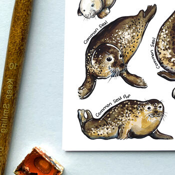 Seals Of Britain Watercolour Postcard, 7 of 9