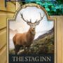 Stag Inn Personalised Pub Sign/Bar Sign/Man Cave, thumbnail 1 of 8