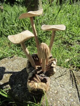 Wooden Mushrooms Ornament For Garden, 5 of 6