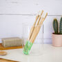 Bamboo Toothbrush With Plant Based Bristles, thumbnail 3 of 6