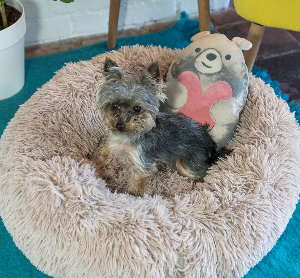Fluffy Anxiety Calming Round Pet Bed By NOAH'S ARK