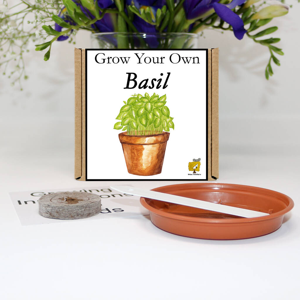 Gardening Gift. Grow Your Own Herbs. Basil Seeds Kit By Grow Your