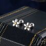 Sterling Silver Tiny Little Forget Me Not Flower Screw Back Earrings, thumbnail 1 of 12