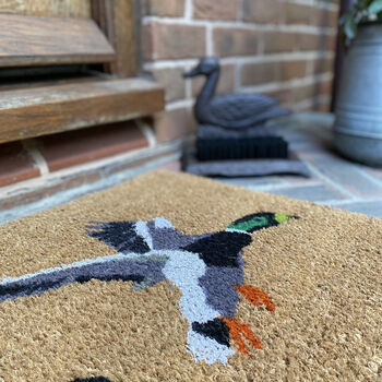 Flying Duck Doormat And Boot Brush Set, 2 of 8