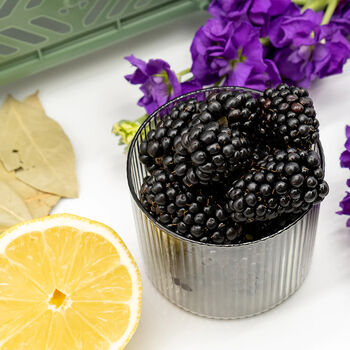 Bay Tree + Blackberry Luxury Scented Candle, 6 of 7
