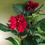 Artificial Dhalia Flowering Plant Red, thumbnail 3 of 4