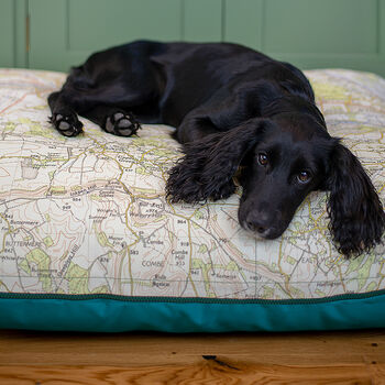 Personalised Vintage Map Dog Bed, 3 of 7