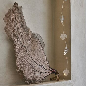 Shimmery Silver Leaf Battery Fairy Lights, 2 of 5