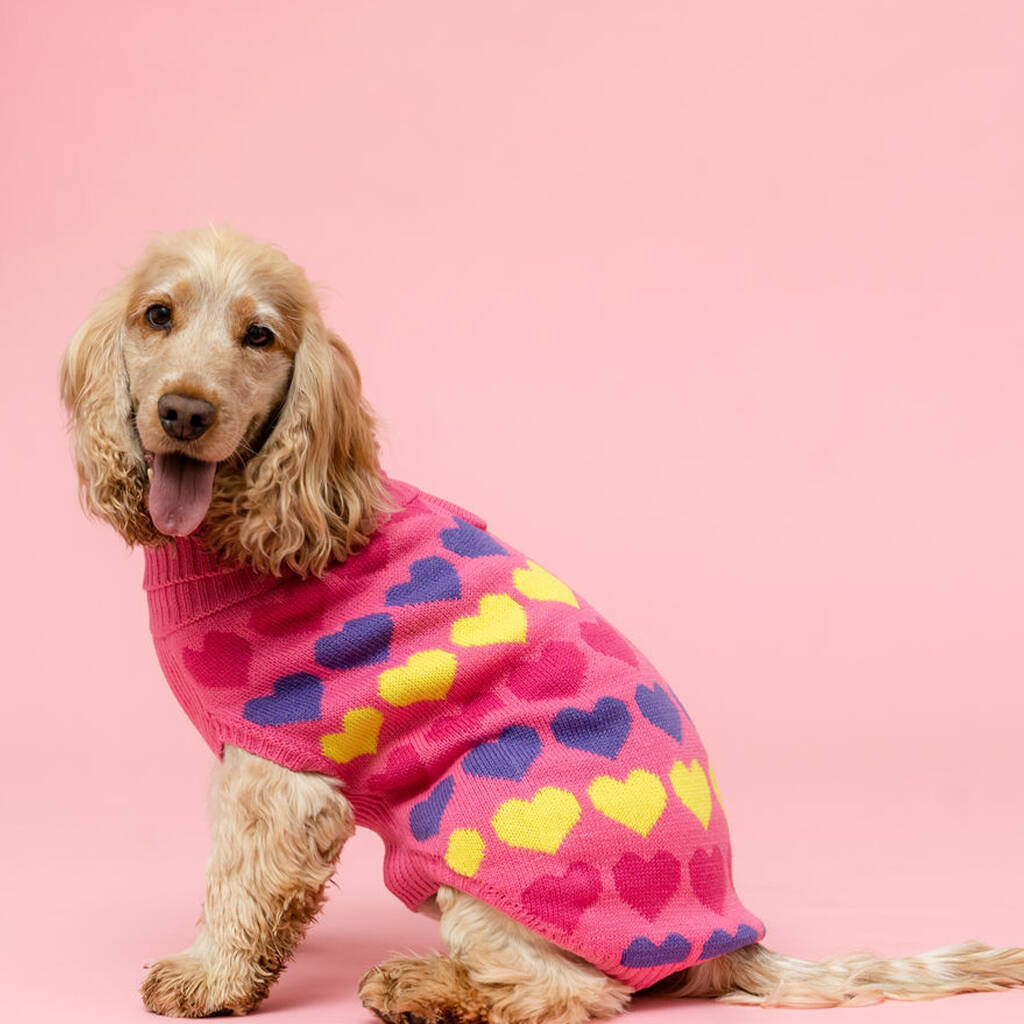 Loveheart Knitted Dog Jumper, 1 of 4