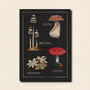 Mushroom Art Postcard Pack, thumbnail 5 of 7