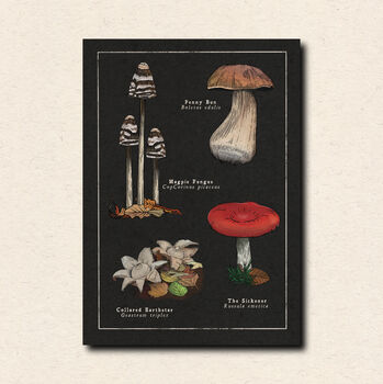Mushroom Art Postcard Pack, 5 of 7