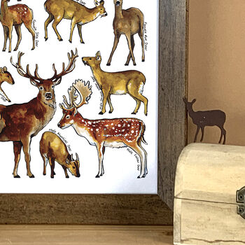 Deer Of Britain Wildlife Watercolour Print, 4 of 6