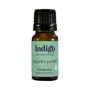 Cardamom Essential Oil, thumbnail 2 of 2