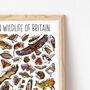 Brown Wildlife Of Britain Print, thumbnail 5 of 5