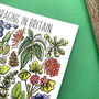 Foraging Plants Of Britain Watercolour Postcard, thumbnail 5 of 10