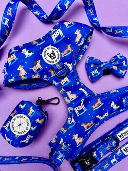 Skateboarding Dogs Adjustable Padded Dog Harness, 5 of 6