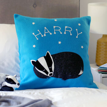 Badger Personalised Cushion And Hot Water Bottle Set, 2 of 4