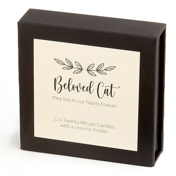 Beloved Cat, In Loving Memory Reflection Candle Sets, 2 of 12