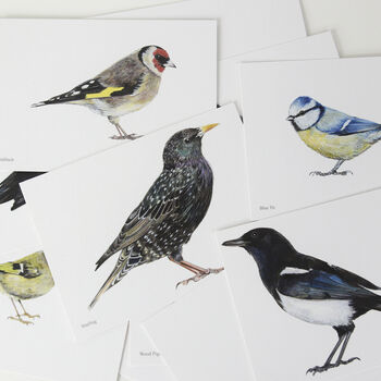 Garden Birds Postcard Set, 2 of 4