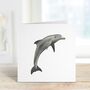 Playful Hand Drawn Dolphin Greeting Card, thumbnail 7 of 7