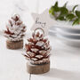 Christmas Pine Cone Place Card Holders Pack Six, thumbnail 1 of 2